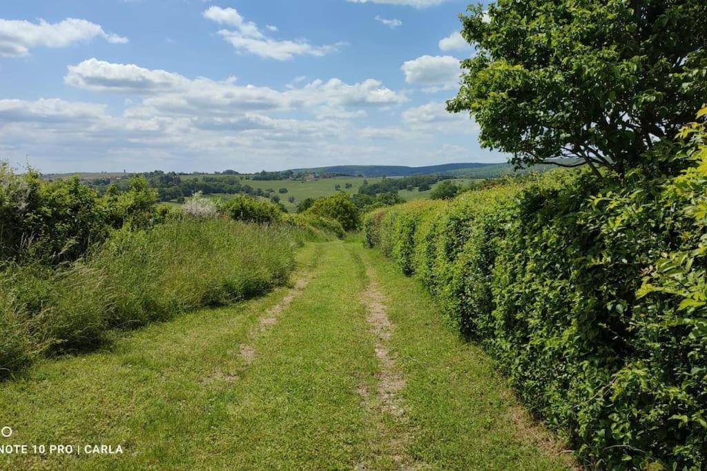 Vila Gite Le Delice Tannay  Exteriér fotografie