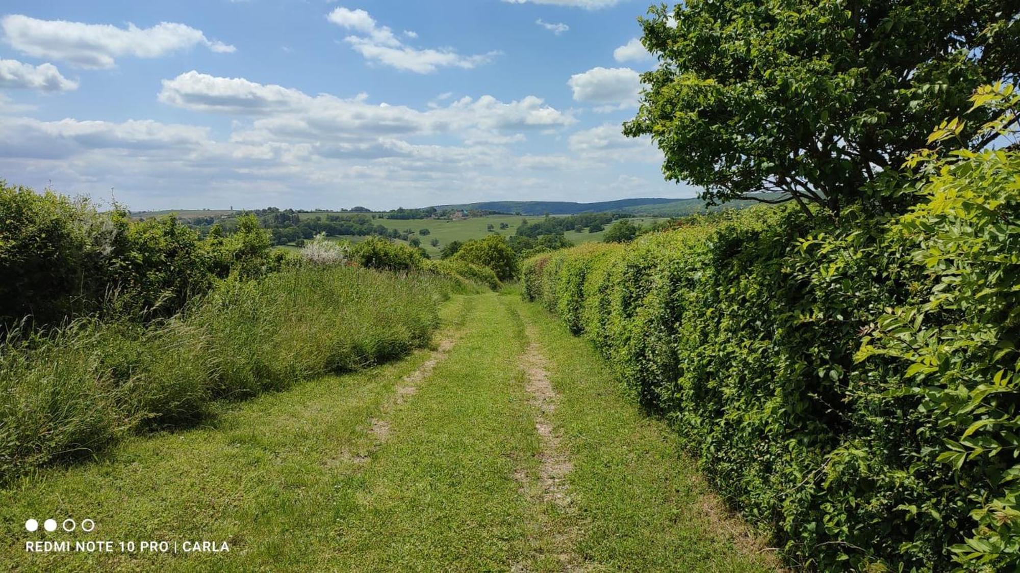 Vila Gite Le Delice Tannay  Exteriér fotografie